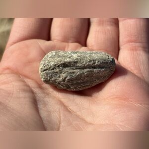 Schist Rock - River Rock Find - North Dakota, USA